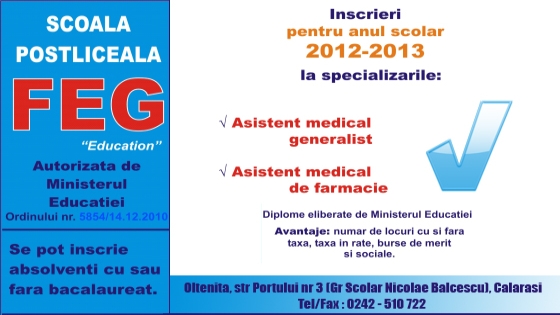 fegoltenita