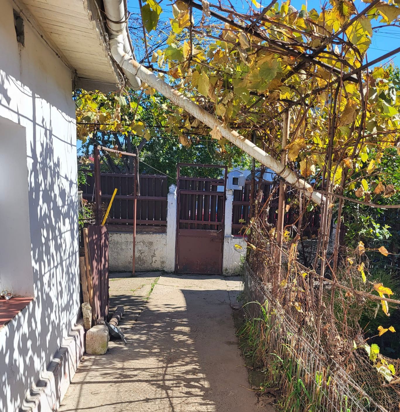 WhatsApp Image 2025-11-11 at 18.30.07