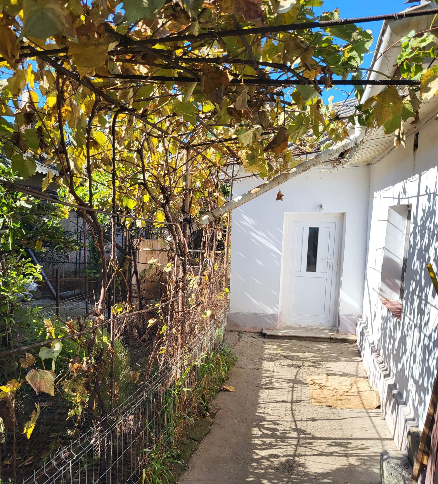 WhatsApp Image 22025-11-11 at 18.30.07