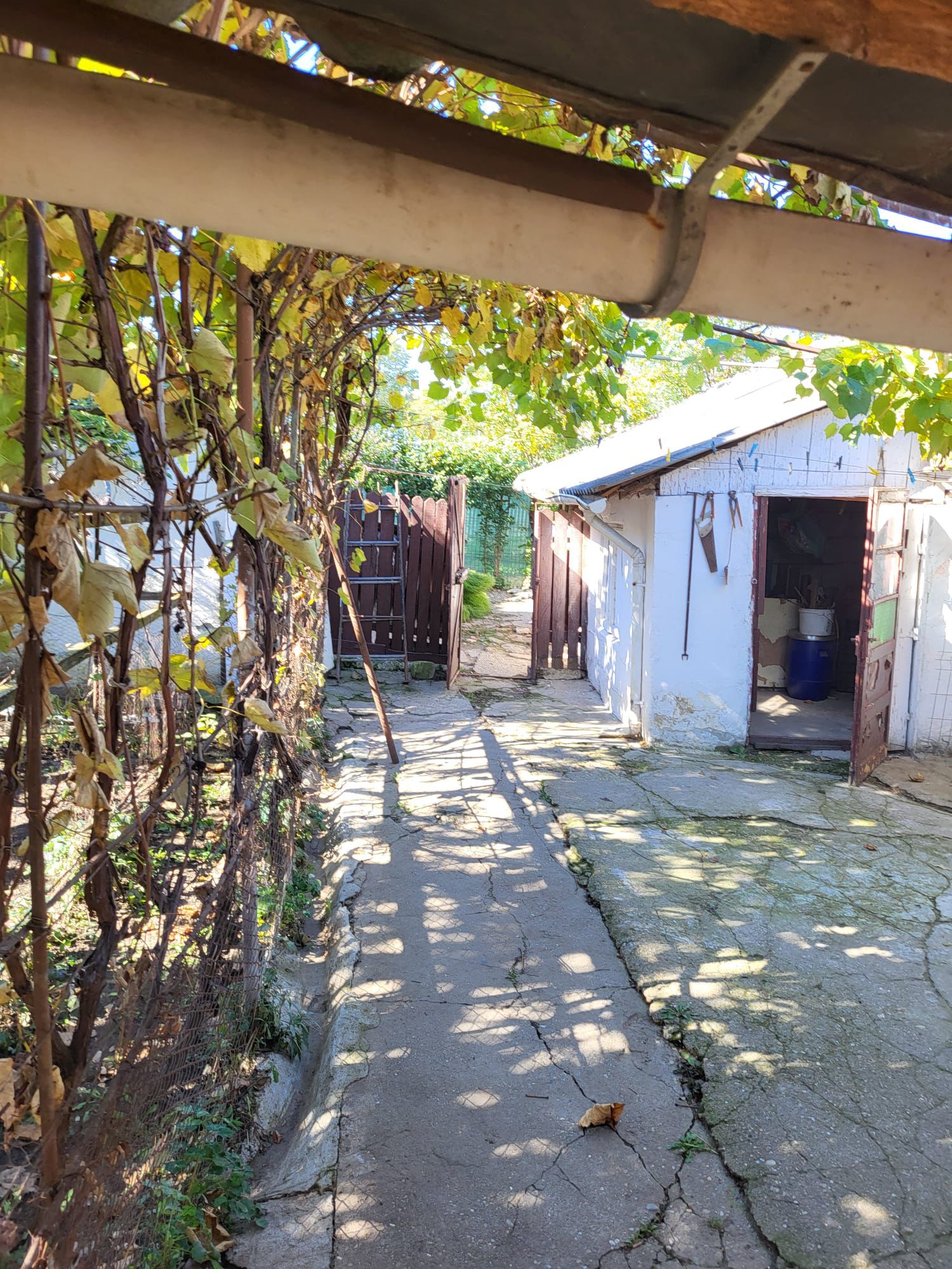 WhatsApp Image 32025-11-11 at 18.30.07