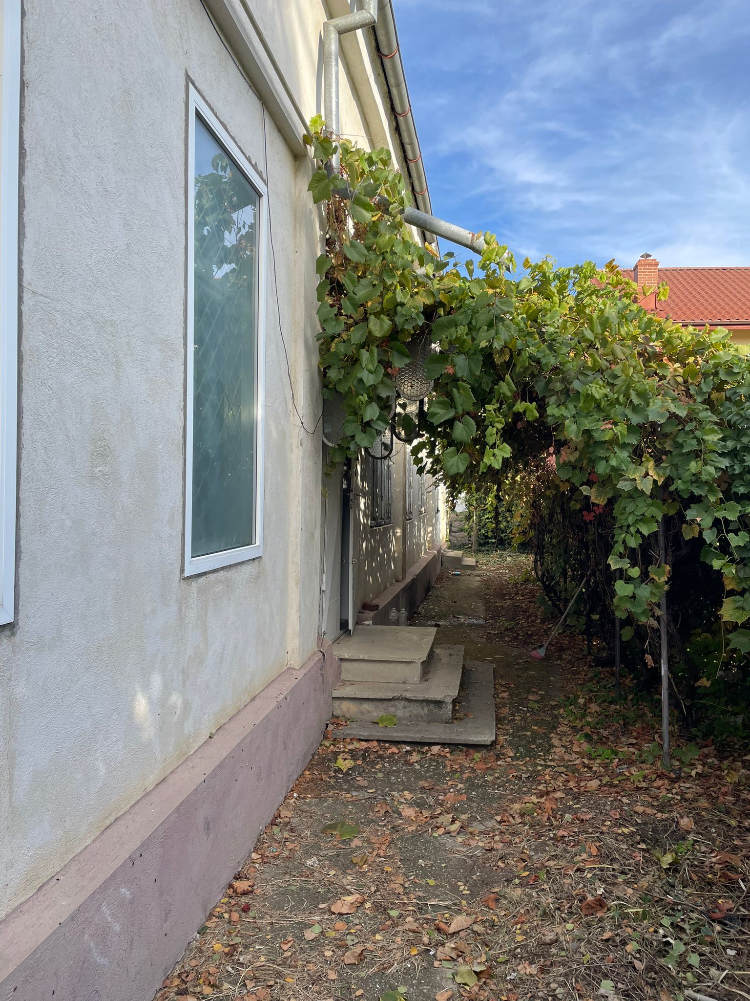 WhatsApp Image 82025-11-14 at 15.44.18