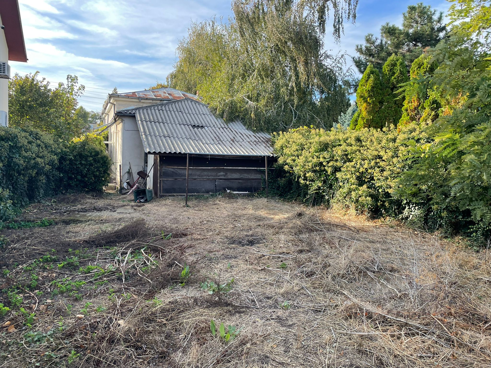 WhatsApp Image 92025-11-14 at 15.44.18